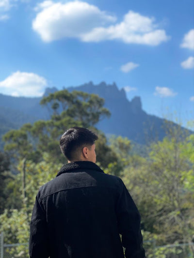 diego_loop